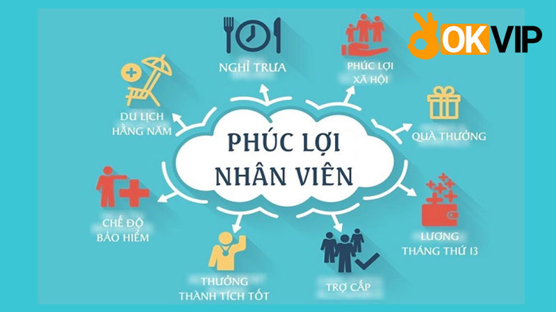 Việc làm Sale OKVIP có chế độ lương thưởng cực tốt